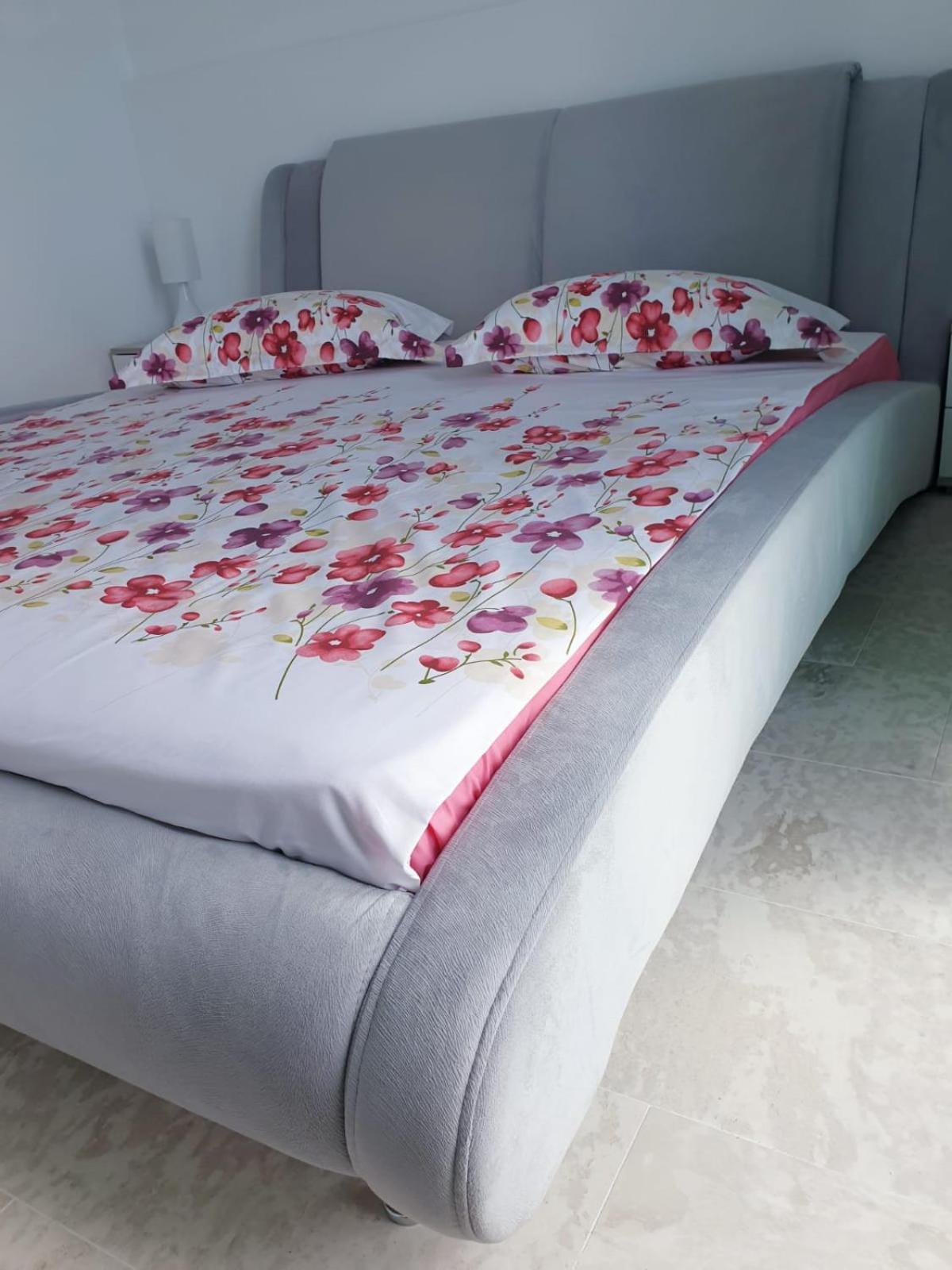 Seafront Papaya Apartment Năvodari Zewnętrze zdjęcie
